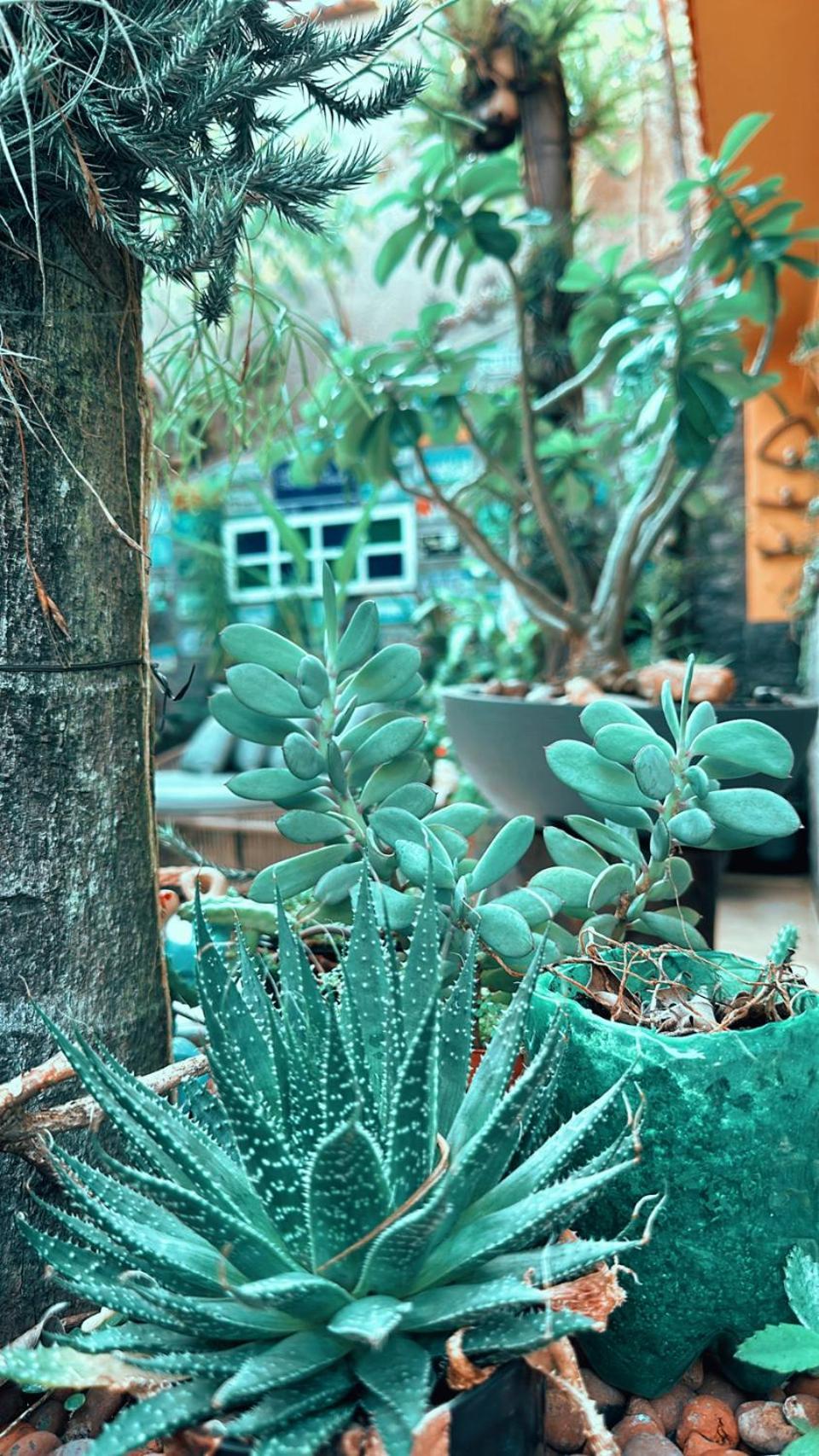 Albergue Village Potira - The Rio de Janeiro